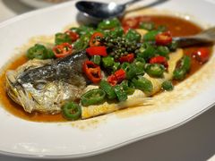 鲜花椒蒸海钓东海黄鱼-炳胜品味(深圳万象城店（罗湖）)