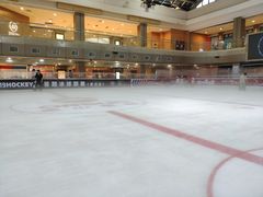 -奥山冰场(奥山世纪城店)