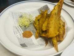 -老平安农家菜(平安店)