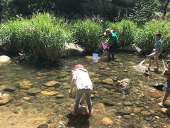 -碓臼峪自然风景区