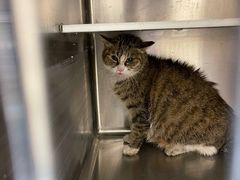 -萌兽医馆·犬猫专科·眼科中心·宠物医院(朝阳门分院)