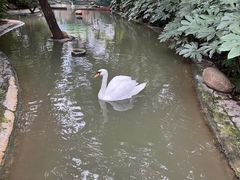 -常州淹城野生动物世界