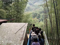 -宁波浙东大竹海景区