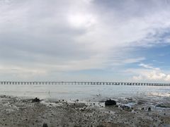 -宝安西湾红树林湿地公园