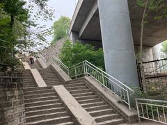 -白水寺森林公园