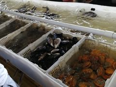 -罗源湾8号渔排