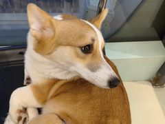 -怪兽屋·羊驼·猫咖·狗咖(俊华广场店)