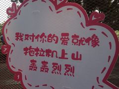 -观澜湖生态运动公社