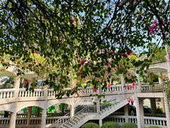 -南方医科大学南方医院(院本部)
