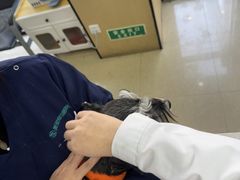 -瑞派天使宠物医院·神经外科·骨科·核磁CT(洛川中路店)