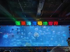 -蓬莱欧乐堡海洋极地世界