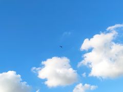 -公平路渡口(轮渡站)