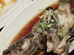 -碧丽宫大酒店(召稼楼店)