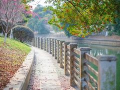 -南溪山景区