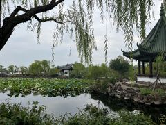 -无锡蠡湖国家湿地公园-蠡园