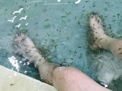 -中家鑫园温泉酒店鑫悦汤泉