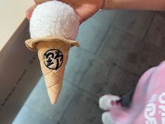 -野人先生现做冰淇淋(北京环宇荟店)