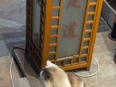 -鸥迪足道会馆(北京街店)