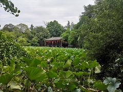 -房湖公园