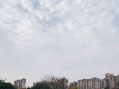 -洋湖国家湿地公园
