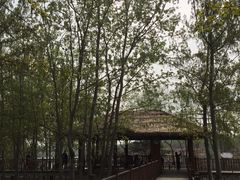 -北京麋鹿生态实验中心