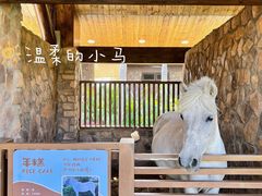 -珠海海泉湾神秘岛亲子乐园
