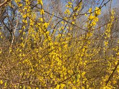 -永定河休闲森林公园