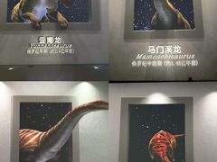 -天津自然博物馆