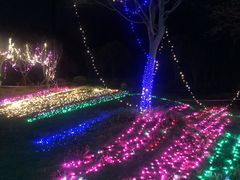 -黄陂区野村谷景区