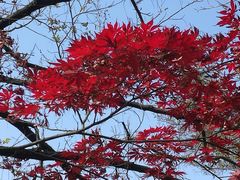 -崂山九水游览区