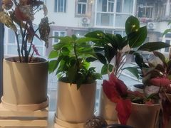 -懒人盐府人家(航天桥店)