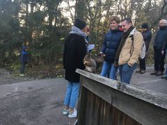 -瓦萨沉船博物馆