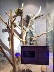 -未来动物城动物主题公园(大悦城店)