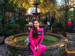 -The Grounds of Alexandria