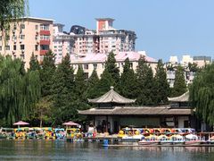 -团结湖公园