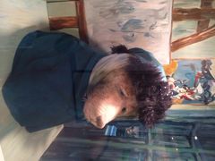 iphone_upload_pic-济州岛泰迪熊博物馆