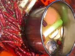 -蜀九香火锅(九眼桥店)