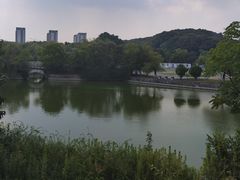 -狮麟驾校