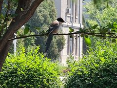 -东北大学(南湖校区)