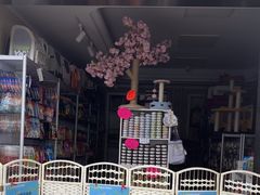 -北京观赏动物医院·24小时大型综合·猫专科·异宠专科
