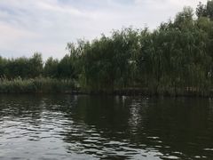 -白洋淀景区