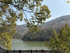 -白马涧龙池景区