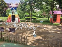 -烟台山景区