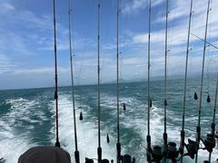 -小猫钓鱼海钓俱乐部(椰梦长廊店)