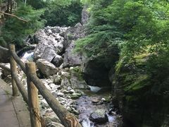 -牛背梁国家森林公园