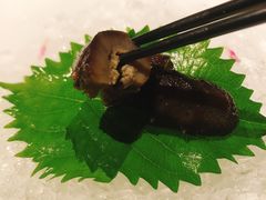 -觀芷隐轩