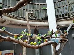 -正佳雨林生态植物园