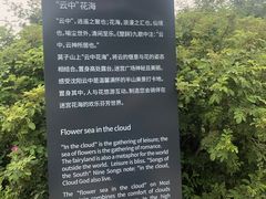 -莫子山公园