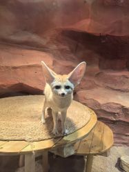 -Zoolung Zoolung动物主题公园(海信广场店)