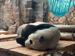-济南野生动物世界